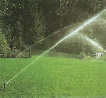 ��ƺ����