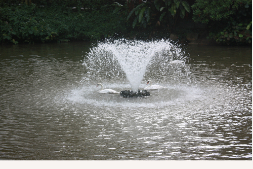 ��Ȫ����