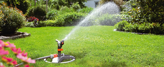 ��ƺ����