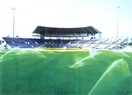 ������m����ҕ�l